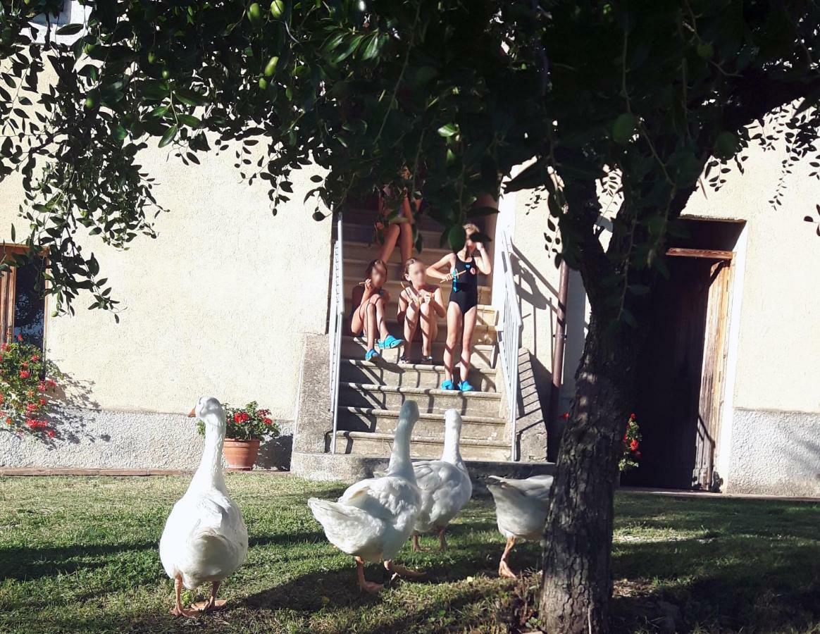 Villa La Fontana Castiglione del Lago Exterior foto